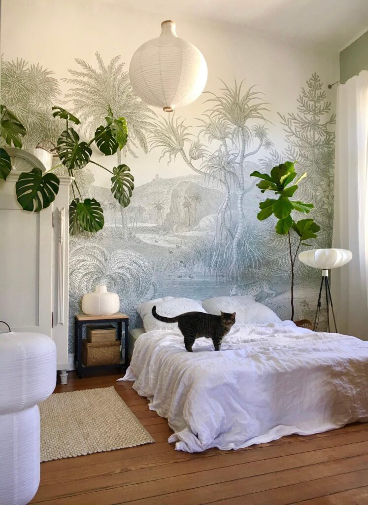 Schlafzimmer mit schwarzer Katze